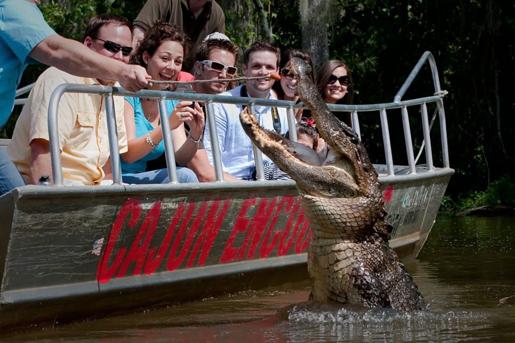 Best 10 Outdoors Activities in New Orleans, Swamp Tour