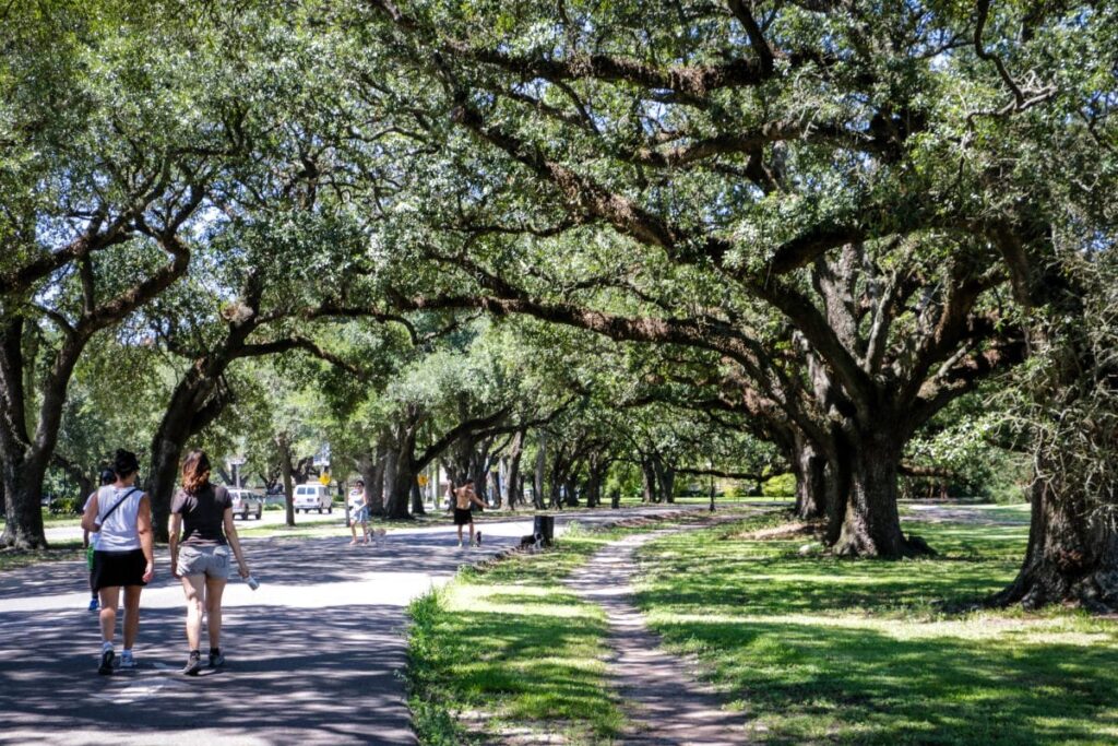 Best 10 Outdoors Activities in New Orleans, Audubon Park
