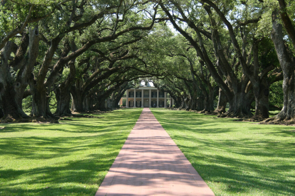 Best Plantations to Visit in New Orleans: Oak Alley